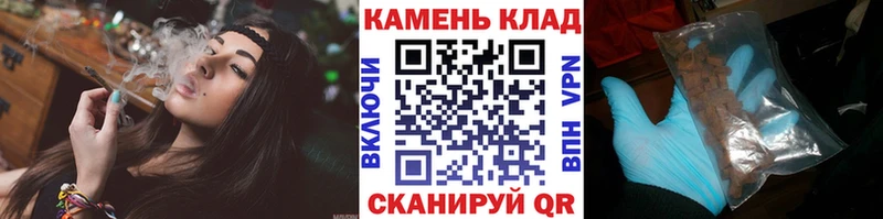 ГАШ Ice-O-Lator  где можно купить   Любим 
