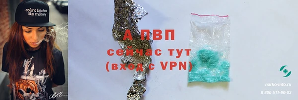 гидра Покачи